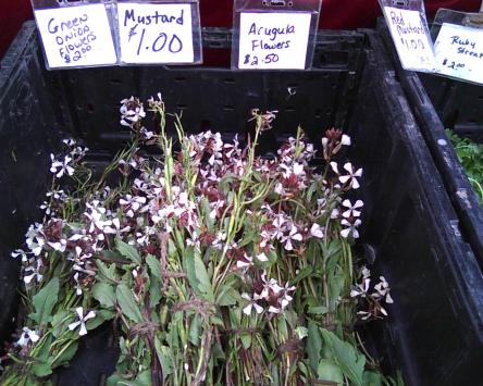 Arugula flowers