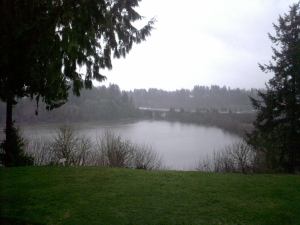 View from the conference dining room