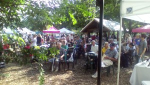 What the market looks like when the musicians are playing midday