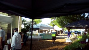 Vendors walking their items in