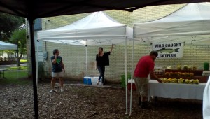 Vendors getting tents up