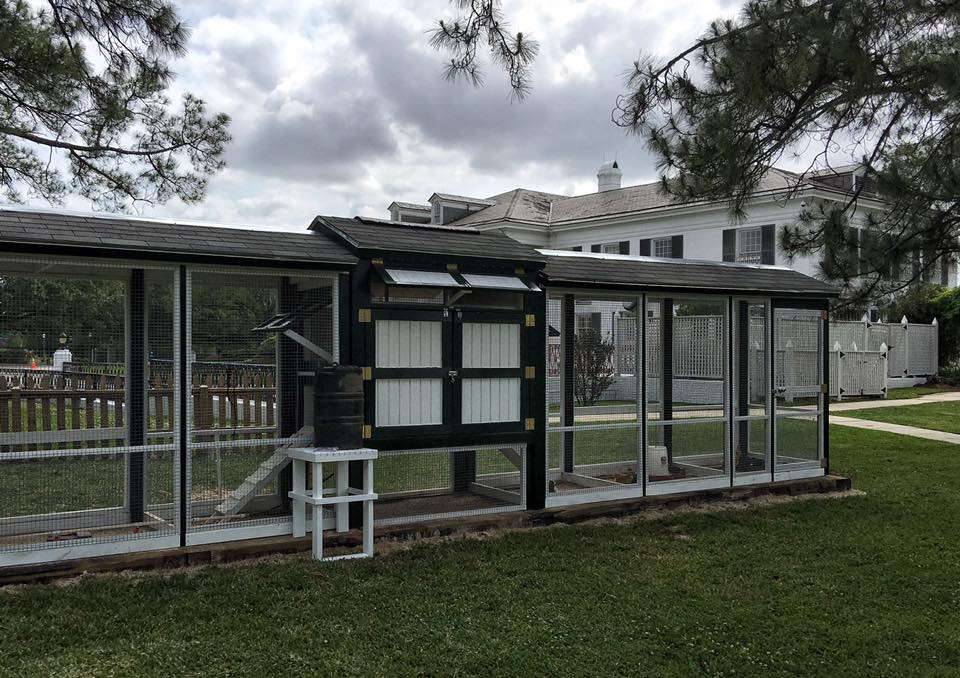 12985587_1020208721388544_5990847717357139272_n